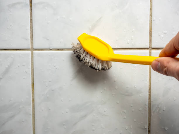 Best Same-Day Mold Removal  in Comer, GA