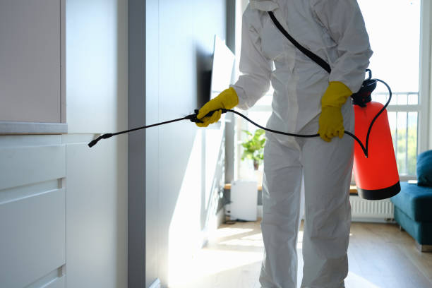 Best Mold Removal Process  in Comer, GA