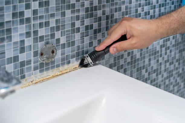 Best Best Mold Removal Companies  in Comer, GA