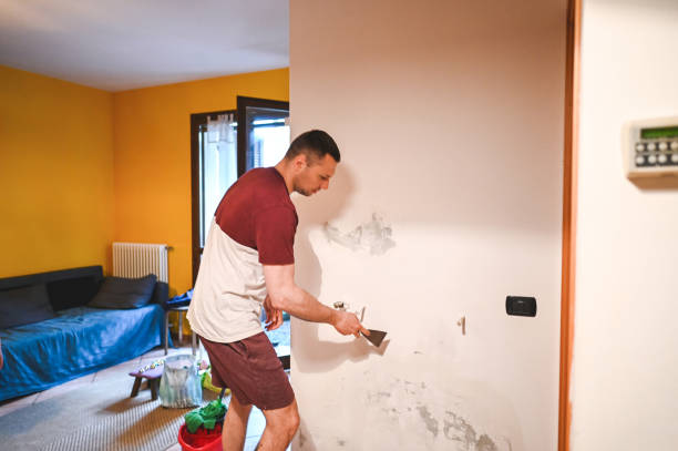 Best Commercial Mold Removal  in Comer, GA